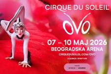 cirkus.jpg