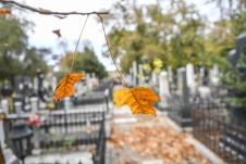 Aplikacija Novo groblje 067.jpg