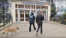 Screenshot 2025-10-12 071947.png