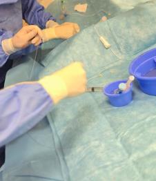 Screenshot 2025-10-13 120824.png