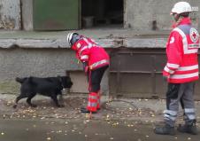 2025-10-14 13_56_49-Vermisster Fabian (8)_ Bewegende Video-Botschaft der Mutter _ Regional _ BILD.de.png