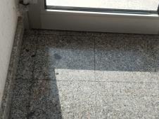 Novi Sad pronađeno je telo bebe u lokvi krvi mrtva beba