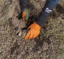 WhatsApp Image 2025-10-21 at 4.25.21 PM.jpeg