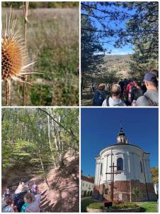 Sveta Srbija (16).JPG