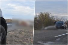 saobraćajna nesreća Kikinda stradao konj