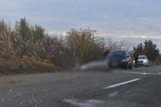 saobraćajna nesreća Kikinda stradao konj