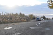 saobraćajna nesreća Kikinda stradao konj