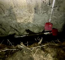 Požarevac hapšenje raka