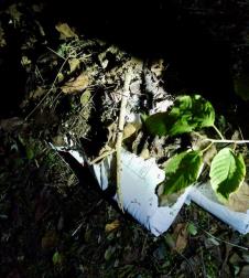 Požarevac hapšenje raka