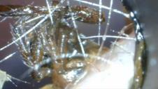 Screenshot 2025-10-24 134711.png