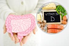 Vitamin D i namirnice bogate ovim nutrijentom/Maketa creva
