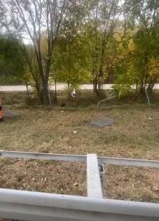 Saobraćajna nesreća Džudisti Novi Sad (5).jpeg