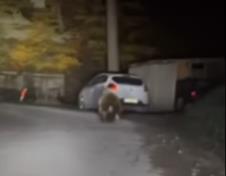 Screenshot 2025-10-29 202404.jpg