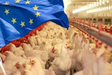 Farma Pilica Evropska unija.jpg