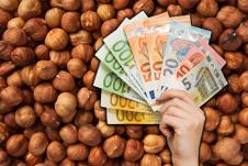 sadnja lešnika lešnici lešnik