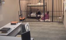 Sara Raičević i Sandra Todić u zatvoru