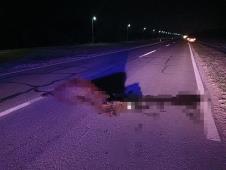 Magarac foto s.u..jpg