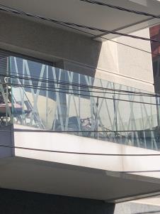 Ana Nikolić (3).jpg