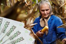 Penzionerka u njivi sa kurukuzom u ruci