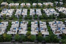 Forest city (11).jpg