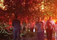 Screenshot 2025-11-06 160118.jpg