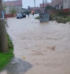 Screenshot 2025-11-07 161417.jpg