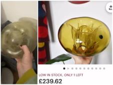 Tiktokerka kod prabake u kući našla čuvenu vazu ikebanu