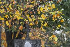 Aplikacija Novo groblje