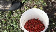 Screenshot 2025-11-10 135306.png