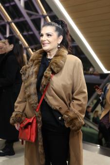 Halid Muslimović koncert u Sava Centru (1).jpeg