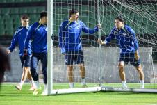 Fudbalska reprezentacija Bosne i Hercegovine