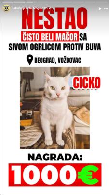 Screenshot 2025-11-16 140017.jpg