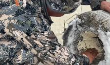 Screenshot 2025-11-17 150405.jpg