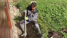 Screenshot 2025-11-18 123530.jpg