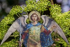 Arhangel Mihailo biljka anđelika