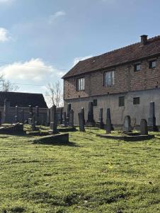 OTKRIVENA ISTINA ZABORAVLJENE ZAJEDNICE: Obnovljeno jevrejsko groblje u Sremskoj Mitrovici – važan trag istorije koji je još juče propadao! (FOTO)