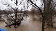 Screenshot 2025-11-20 133234.jpg