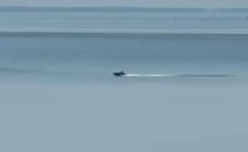 Screenshot 2025-11-21 123036.png