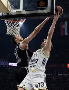 PARTIZAN-FENER_12.JPG
