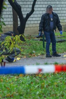 Pucnjava na Novom Beogradu (1).jpeg