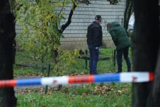 Pucnjava na Novom Beogradu (2).jpeg