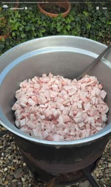 Viktor Živojinović