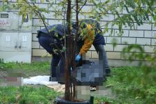 Tadija P. Ubistvo na Novom Beogradu