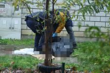 Tadija P. Ubistvo na Novom Beogradu