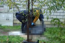 ubijen Tadija P novi beograd.jpg