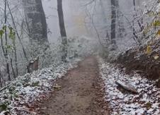 Sneg na Fruškoj gori