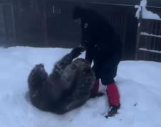 Screenshot 2025-11-23 101053.jpg