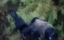 Screenshot 2025-11-24 154821.jpg