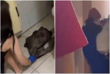 beba pronađena u studentskom domu