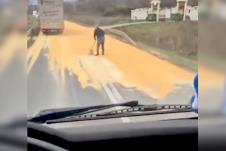 kukuruz na putu kod Mišeluka.jpg